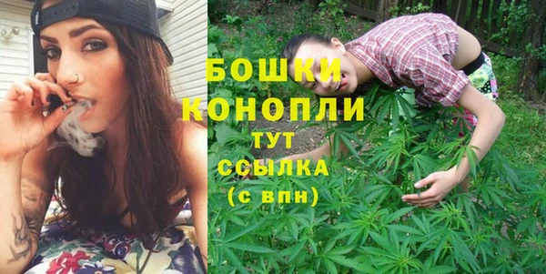 мет Арсеньев