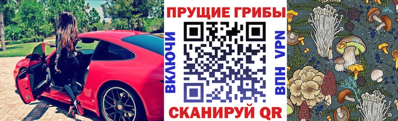 купить наркоту Ухта Псилоцибиновые грибы Psilocybe